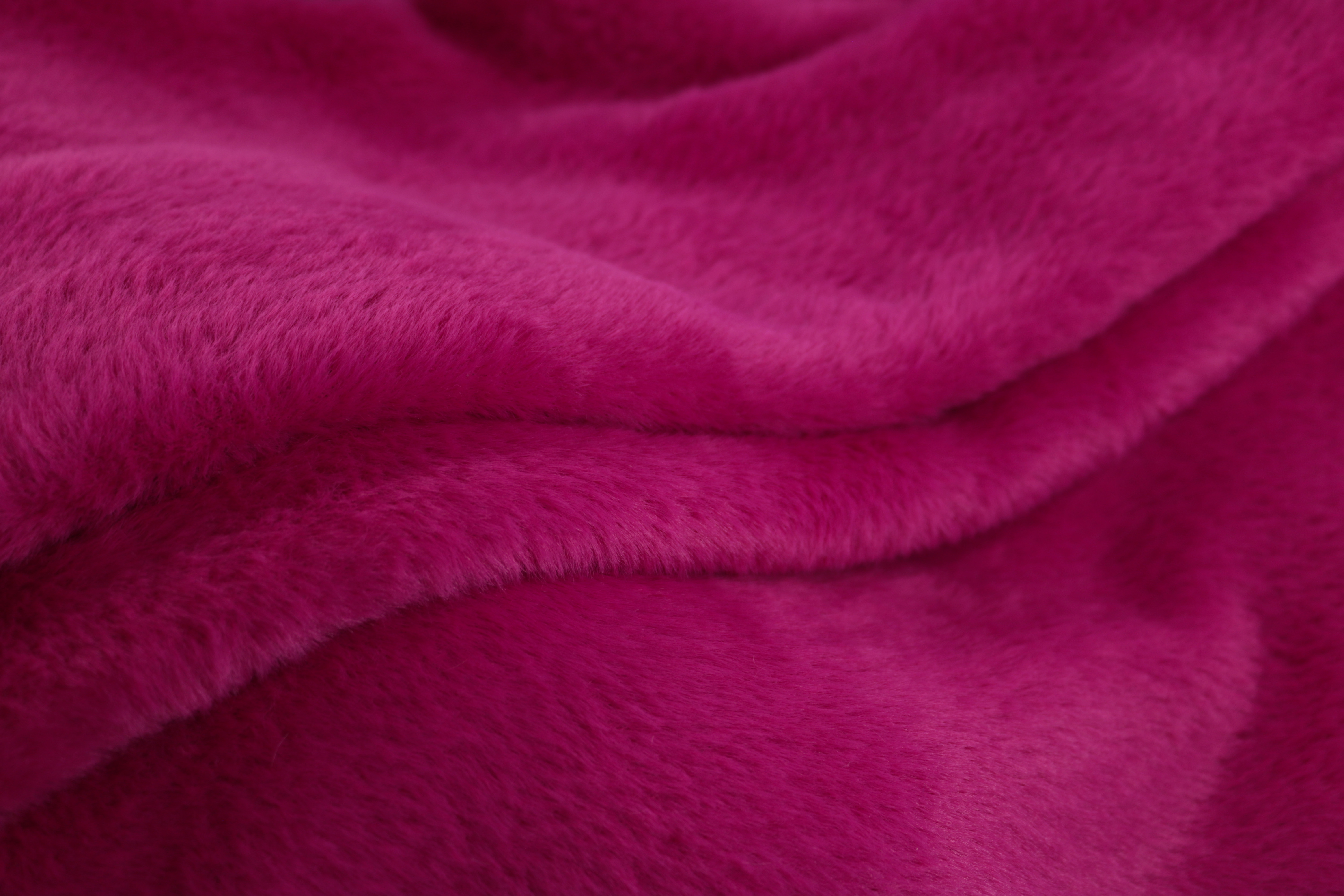 NZ 501801_Fuksia_IMG_3923_3