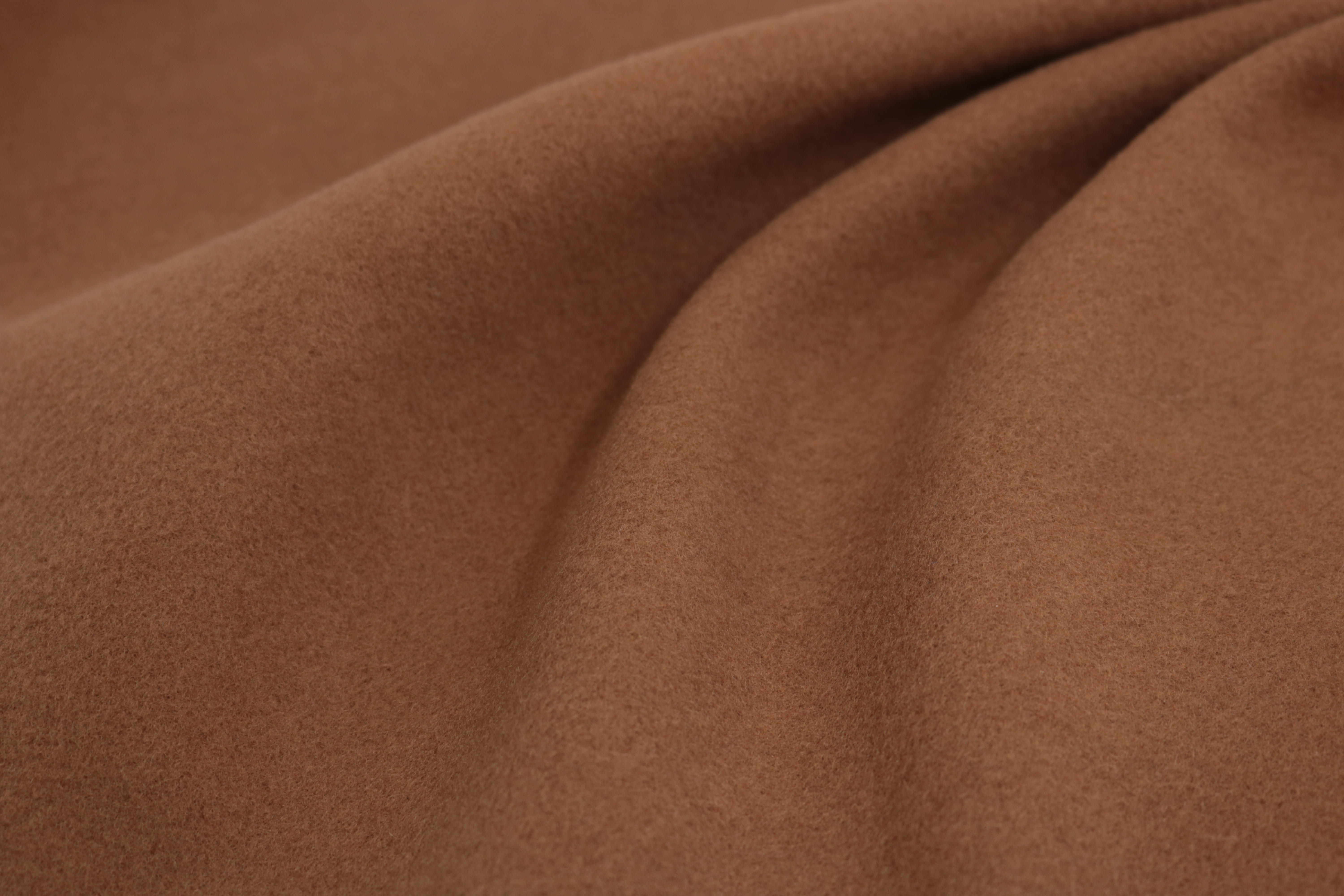 A 242002 (Camel)