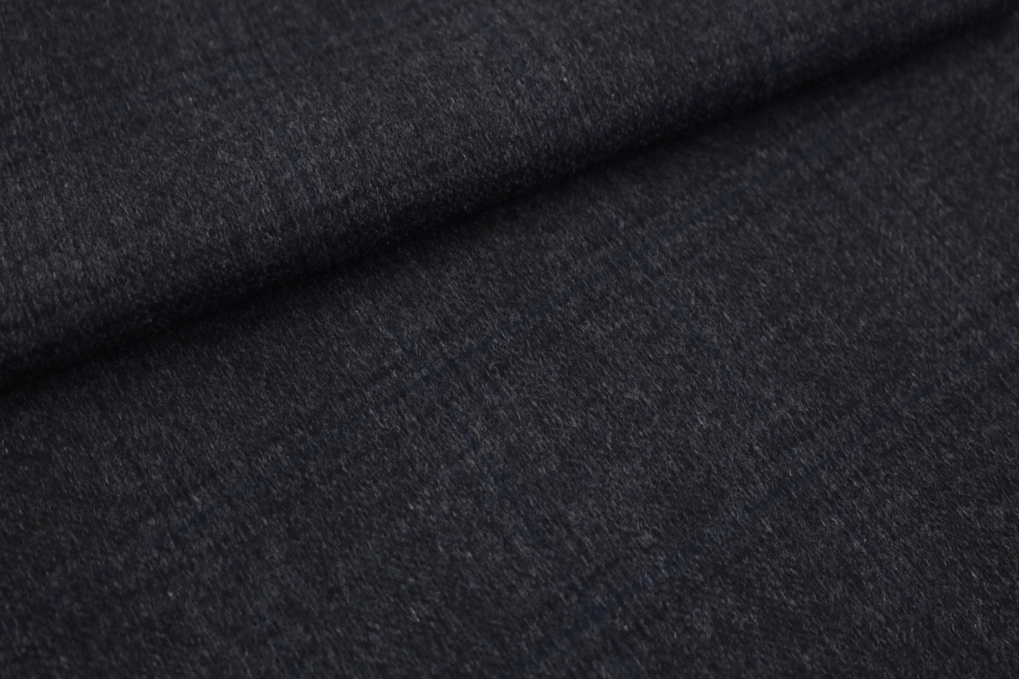 NMF 682202 (D. grey)